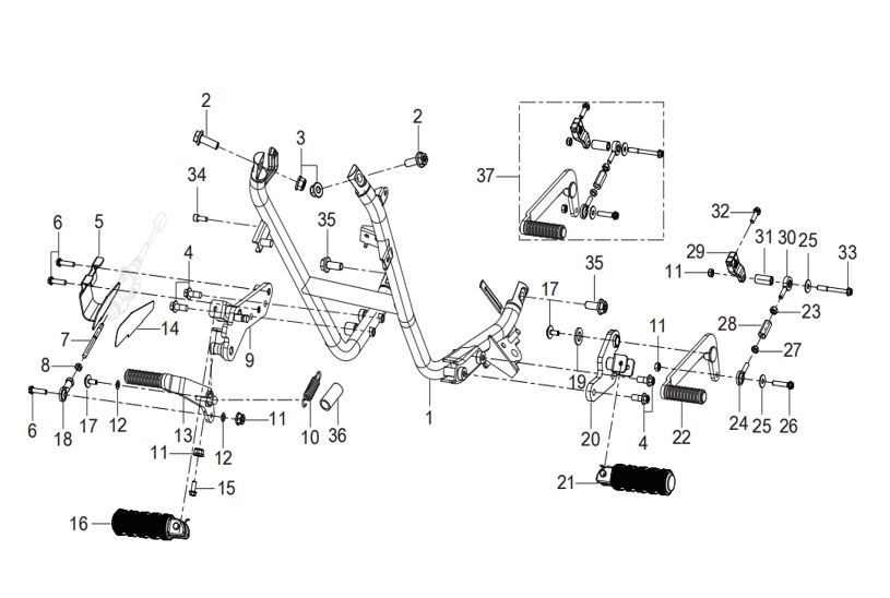 SECTION HEAD M6